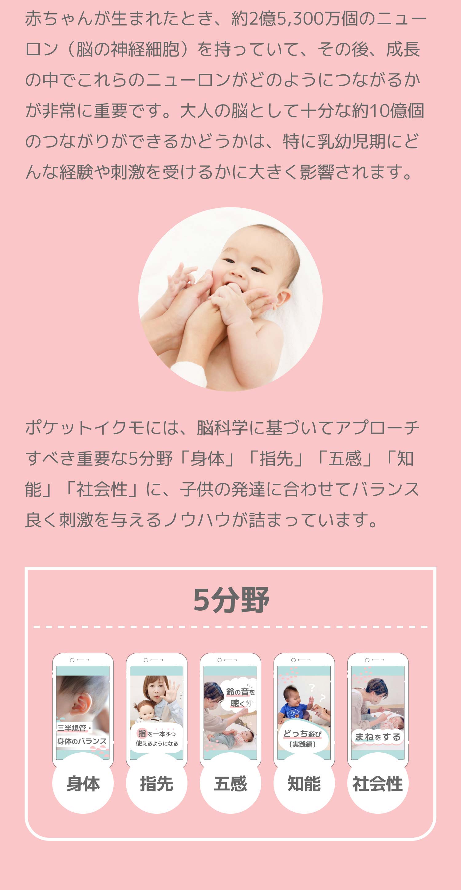 赤ちゃんが生まれたとき、約2億5,300万個のニューロン（脳の神経細胞）を持っていて、その後、成長の中でこれらのニューロンがどのようにつながるかが非常に重要です。大人の脳として十分な約10億個のつながりができるかどうかは、特に乳幼児期にどんな経験や刺激を受けるかに大きく影響されます。ポケットイクモには、脳科学に基づいてアプローチすべき重要な5分野「身体」「指先」「五感」「知能」「社会性」に、子供の発達に合わせてバランス良く刺激を与えるノウハウが詰まっています。
