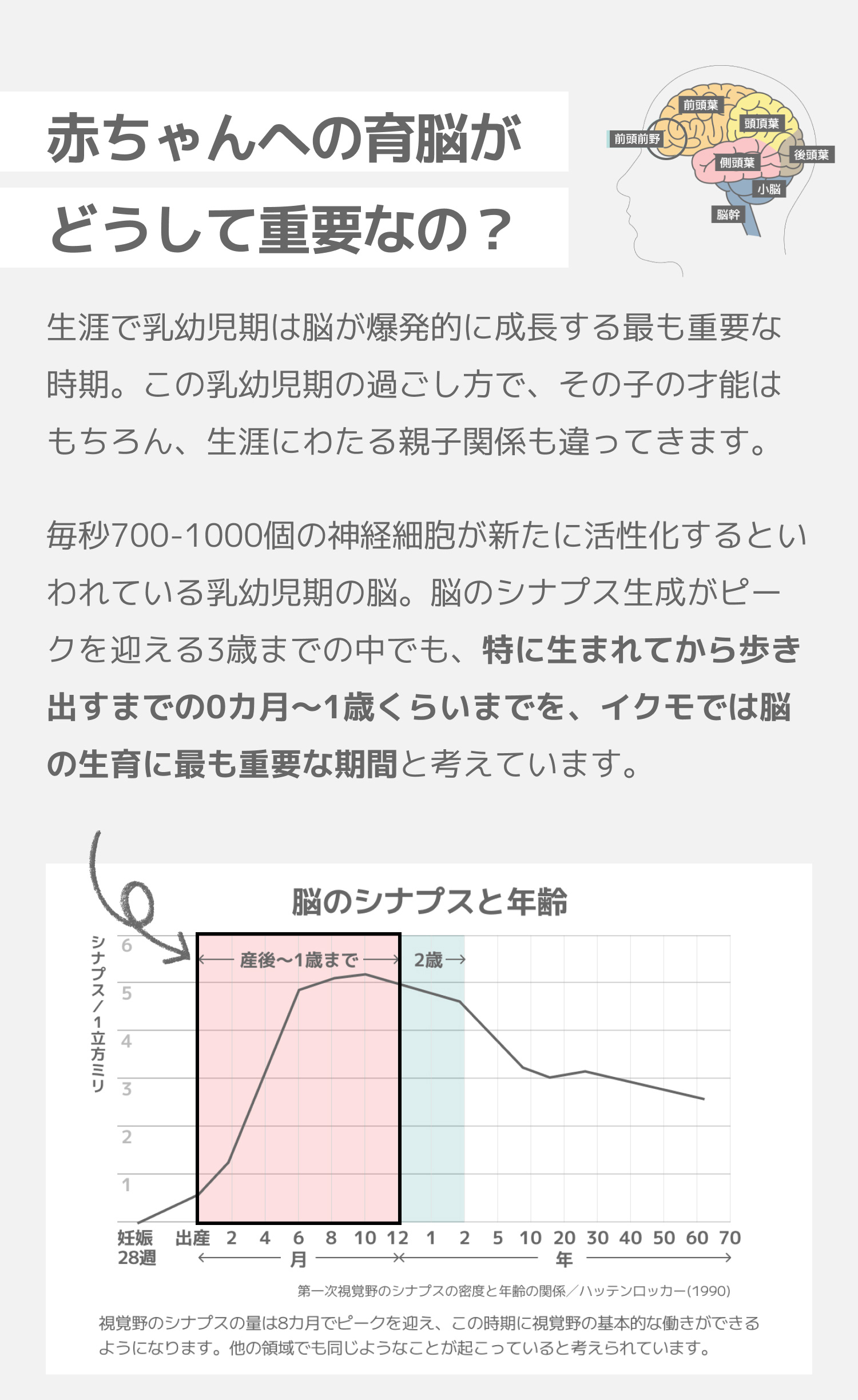 赤ちゃんへの育脳がどうして重要なの？生涯で乳幼児期は脳が爆発的に成長する最も重要な時期。この乳幼児期の過ごし方で、その子の才能はもちろん、生涯にわたる親子関係も違ってきます。毎秒700-1000個の神経細胞が新たに活性化するといわれている乳幼児期の脳。脳のシナプス生成がピークを迎える3歳までの中でも、特に生まれてから歩き出すまでの0カ月～1歳くらいまでを、イクモでは脳の生育に最も重要な期間と考えています。